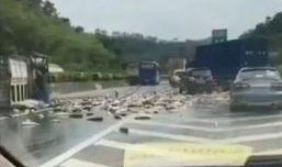 网友爆料高速路口视频下载,高速路口惊险瞬间，视频下载引发热议